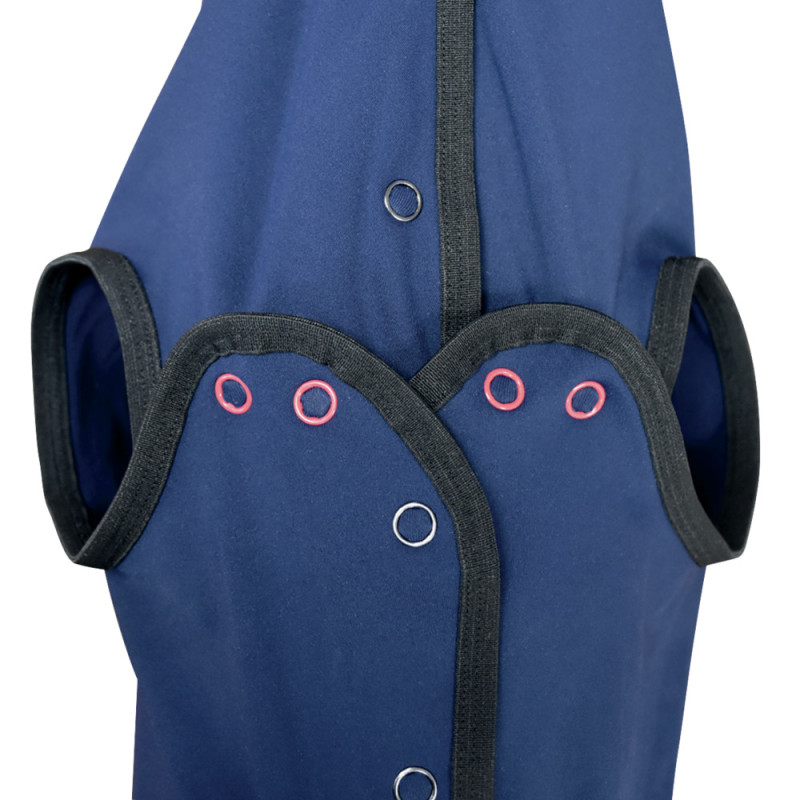 VETBODY