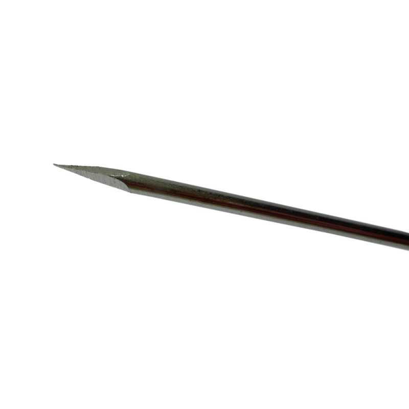 PROLAPSKLAMMERN