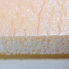 ANIPLAST® SPONGI