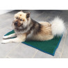 COSYPAD® GREEN