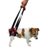 HIND HANDY CANIS
