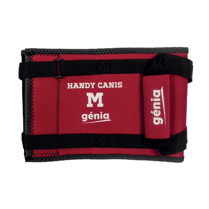 HANDY CANIS ABDOMINAL