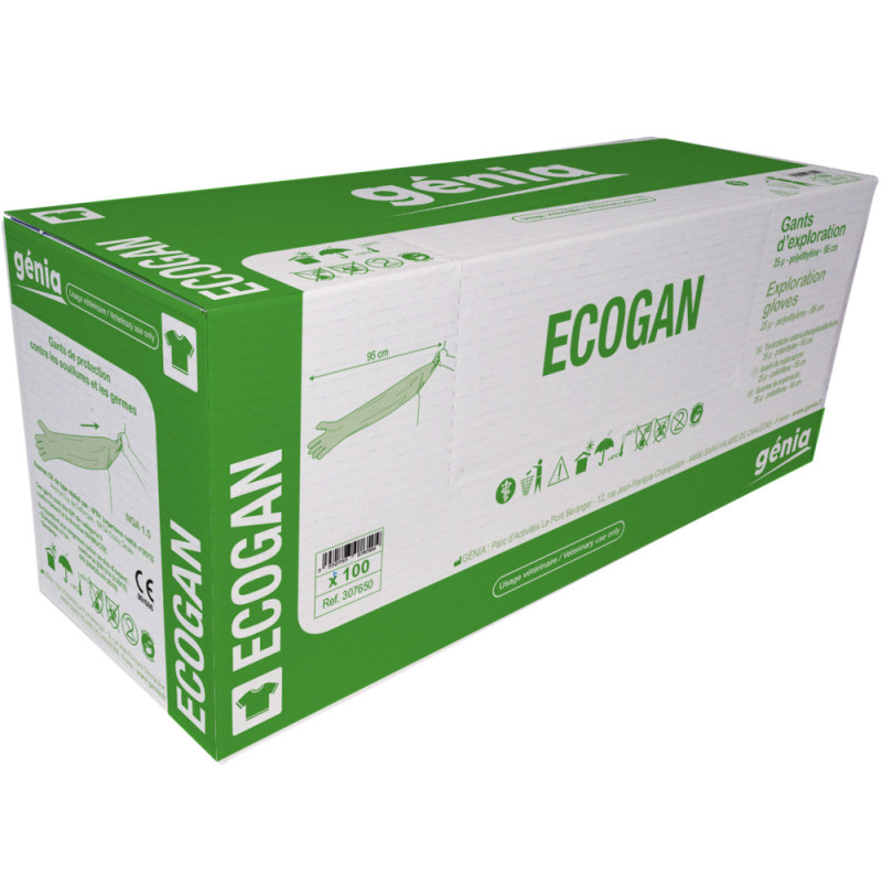 ECOGAN