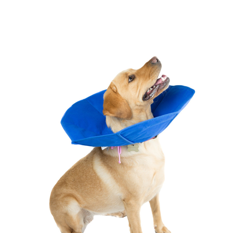 SOFT COLLAR™