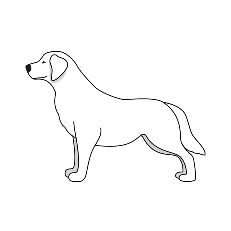 CANIS-MOBILE®