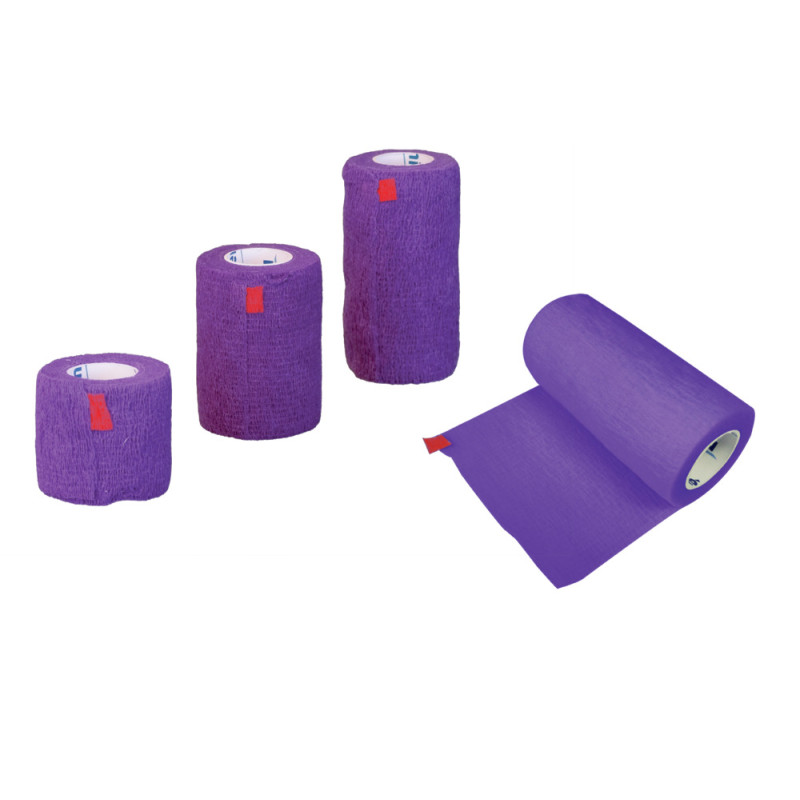 STRAP BAND - GOÛT AMER