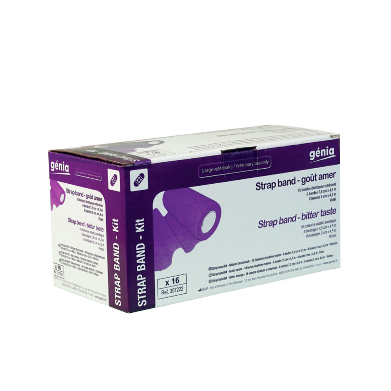 STRAP BAND - GOÛT AMER