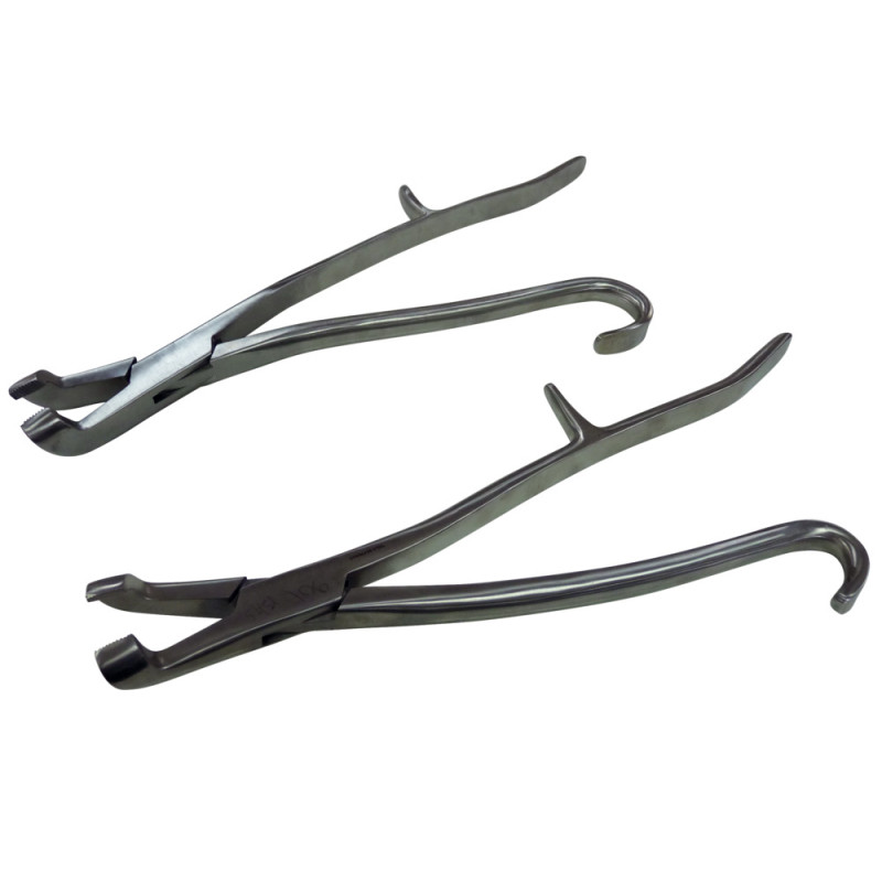 EQUINE DENTAL FORCEPS