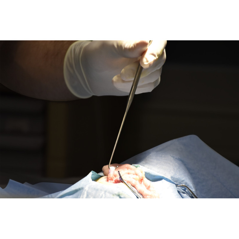 OVARIECTOMY HOOK