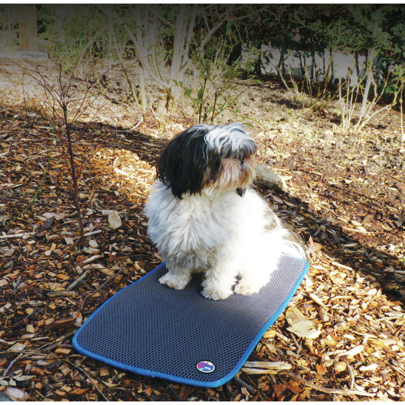 COSYPAD®
NEW GENERATION